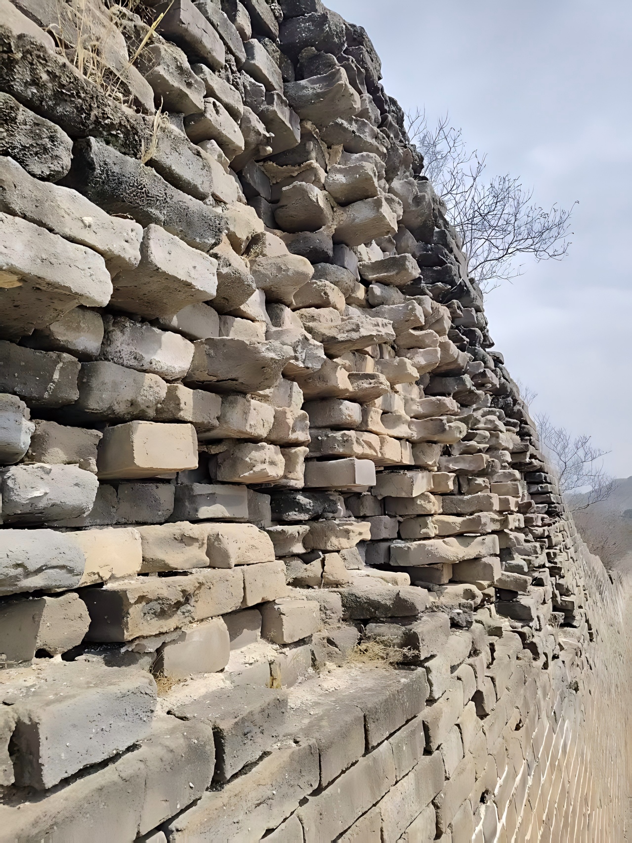 三实读书“读史方舆纪要”现场研读活动第一场顺利举行